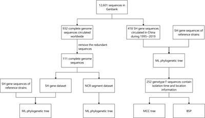 Genotype F Mumps Viruses Continue to Circulate in China, From 1995 to 2019
